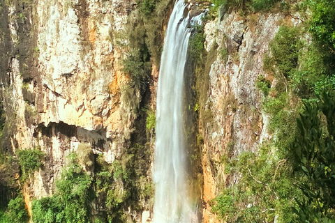 Natural Arch, Rainforest & Volcano Canyon - Private Half Day Tour - Accommodation Rockhampton 2