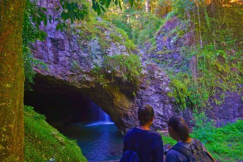 Natural Arch, Rainforest & Volcano Canyon - Private Half Day Tour - Accommodation Rockhampton 4