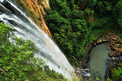 Natural Arch, Rainforest & Volcano Canyon - Private Half Day Tour - Accommodation Rockhampton 5
