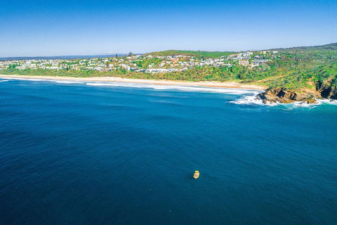 2-Hour Guided Whale Watching Tour At Noosa - Accommodation Rockhampton 4