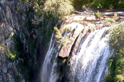 Byron Bay Combo: Hinterland Tour Including Minyon Falls And Kayaking With Dolphins - Accommodation Rockhampton 3