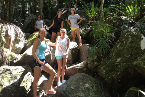 Byron Bay Combo: Hinterland Tour Including Minyon Falls And Kayaking With Dolphins - Accommodation Rockhampton 4