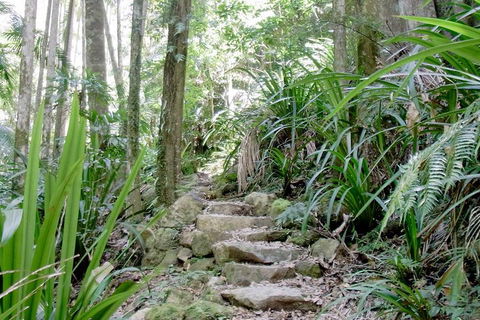 Byron Bay Combo: Hinterland Tour Including Minyon Falls And Kayaking With Dolphins - Accommodation Rockhampton 5