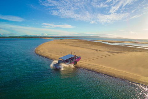 Town Of 1770 Afternoon Cruise - Accommodation Rockhampton 0