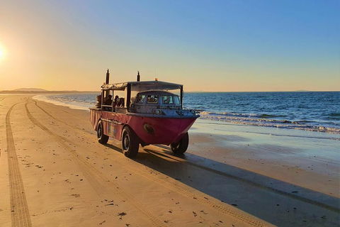 Town Of 1770 Afternoon Cruise - Accommodation Rockhampton 1