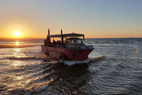 Town Of 1770 Afternoon Cruise - Accommodation Rockhampton 3