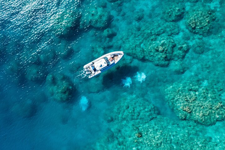 Hamilton Island QLD Accommodation Rockhampton
