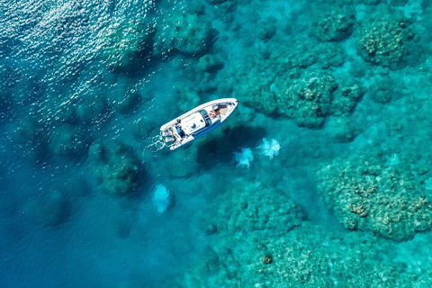 Premium Private Charter - Accommodation Rockhampton 0