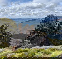 Blue Mountains Private Tour - wild kangaroos waterfalls and The Three Sisters - Accommodation Rockhampton