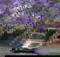 Sydney Secrets  Bondi Beach Private 4 Hr Morning with Personalised Sydney Tours - Accommodation Rockhampton