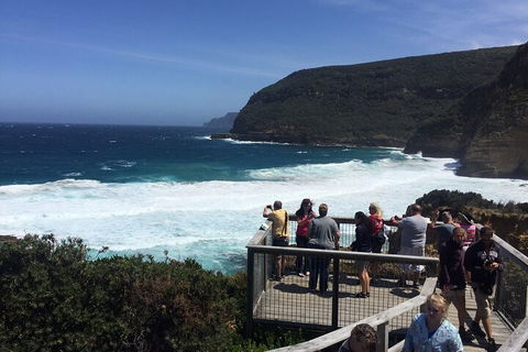 The Port Arthur MEGA Day Trip From Hobart - Accommodation Rockhampton 2