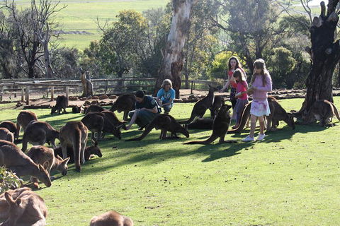 The Port Arthur MEGA Day Trip From Hobart - Accommodation Rockhampton 5