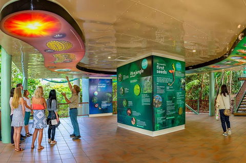 Skyrail & Kuranda Train Day Trip From Cairns - Accommodation Rockhampton 0