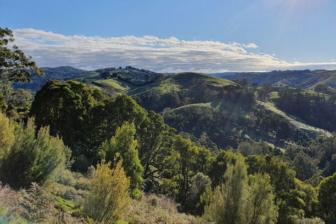 3-Day Adelaide To Melbourne Tour Including The Great Ocean Road - Accommodation Rockhampton 5