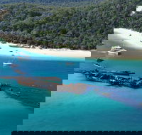 All Inclusive Tangalooma Wrecks Cruise Tour From Gold Coast