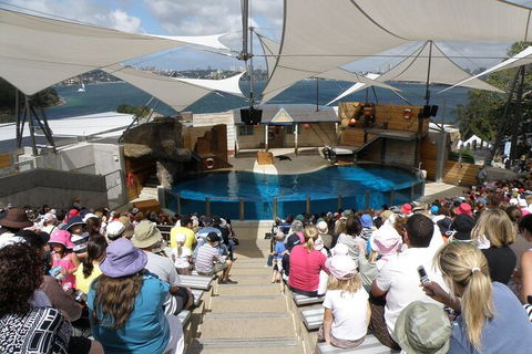 Sydney Taronga Zoo General Entry Ticket - Accommodation Rockhampton 5