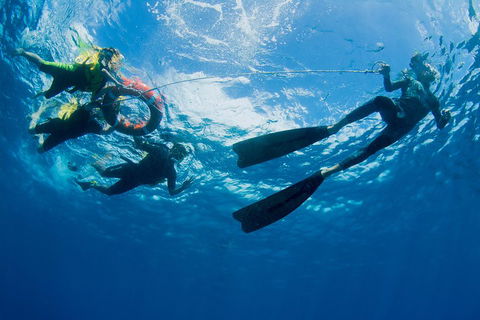 Passions Of Paradise Great Barrier Reef Snorkel And Dive Cruise From Cairns By Luxury Catamaran - Accommodation Rockhampton 2
