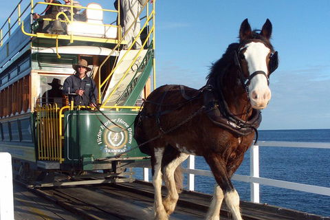 Full-Day Tour In South Australia Highlights - Accommodation Rockhampton 1