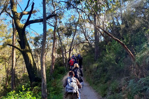 Self-Guided Waterfall Gully To Mount Lofty Hike From Adelaide - Accommodation Rockhampton 1