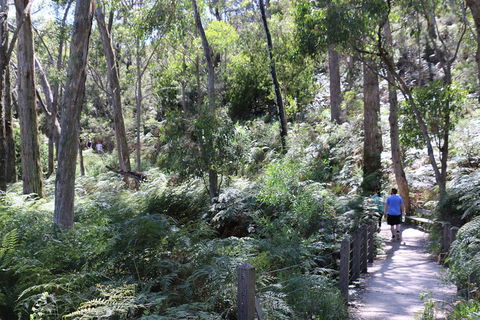 Self-Guided Waterfall Gully To Mount Lofty Hike From Adelaide - Accommodation Rockhampton 2
