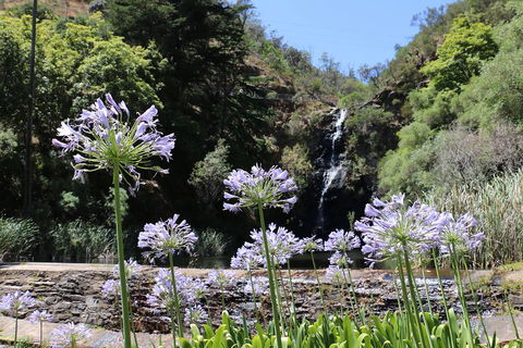 Self-Guided Waterfall Gully To Mount Lofty Hike From Adelaide - Accommodation Rockhampton 3