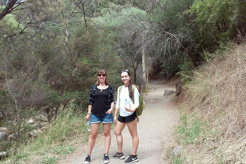 Self-Guided Waterfall Gully To Mount Lofty Hike From Adelaide - Accommodation Rockhampton 4