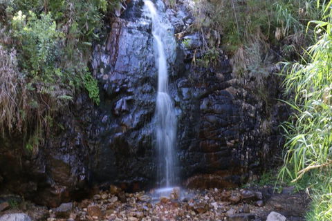 Self-Guided Waterfall Gully To Mount Lofty Hike From Adelaide - Accommodation Rockhampton 5