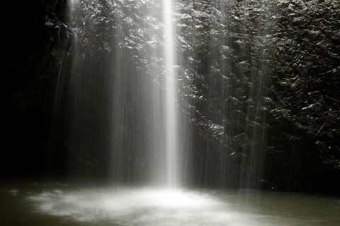Natural Bridge Glow Worm Night Tour From Gold Coast - Accommodation Rockhampton 2