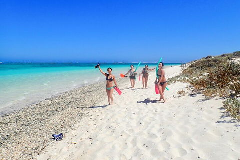 Ningaloo In A Day - Full Day Hike And Snorkel Tour With Lunch - Accommodation Rockhampton 1