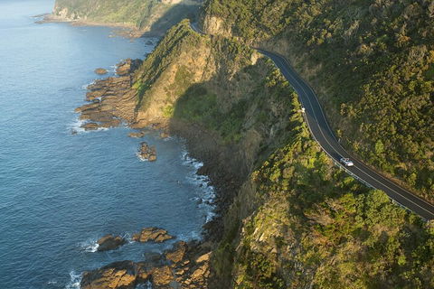 LGBT+ Friendly 2 Day Private Tour Great Ocean Road + Phillip Island - Accommodation Rockhampton 4