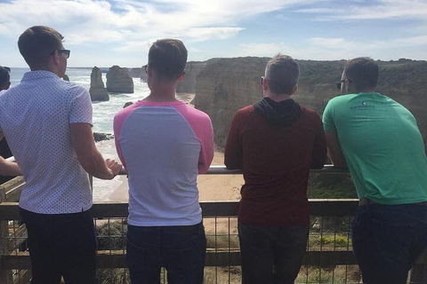 LGBT+ Friendly 3 Day Private Tour Great Ocean Road & Phillip Island - Accommodation Rockhampton 3