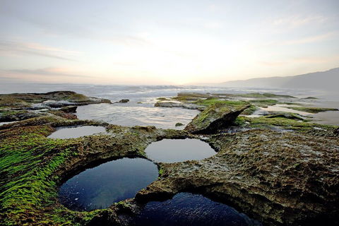 LGBT+ Friendly 3 Day Private Tour Great Ocean Road & Phillip Island - Accommodation Rockhampton 5