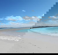 Shipwreck Special Nature Tour/Half Day Tour - Accommodation Rockhampton