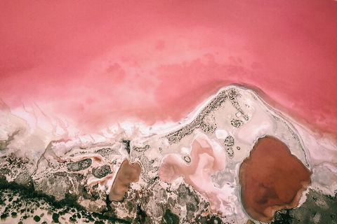 Kalbarri, Pink Lake And Abrolhos Islands Nature Tour - Accommodation Rockhampton 2