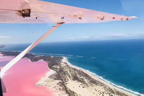 Kalbarri, Pink Lake And Abrolhos Islands Nature Tour - Accommodation Rockhampton 4