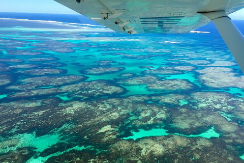 Kalbarri, Pink Lake And Abrolhos Islands Nature Tour - Accommodation Rockhampton 5