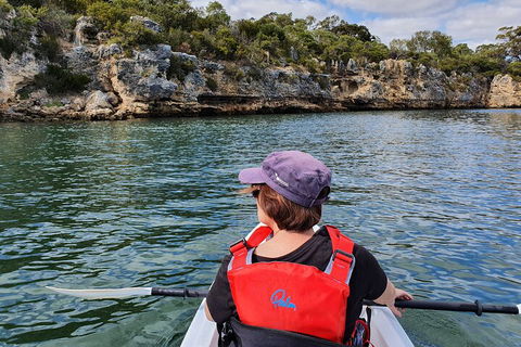 Cliffs And Caves Kayak Tour In Swan River - Accommodation Rockhampton 0