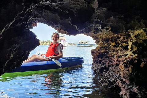Cliffs And Caves Kayak Tour In Swan River - Accommodation Rockhampton 1
