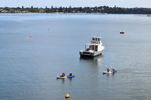 Cliffs And Caves Kayak Tour In Swan River - Accommodation Rockhampton 2