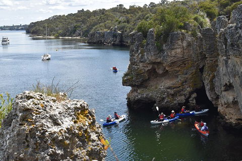 Cliffs And Caves Kayak Tour In Swan River - Accommodation Rockhampton 5