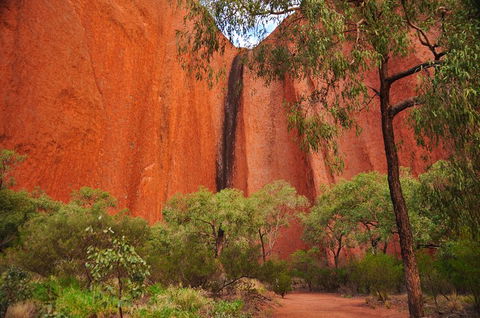 Uluru Sunrise And Guided Base Walk - Accommodation Rockhampton 3