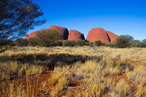 Kata Tjuta Sunrise And Valley Of The Winds Half-Day Trip - Accommodation Rockhampton 1