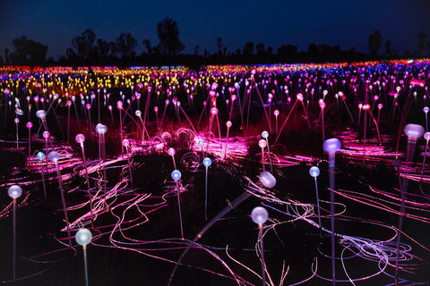 Uluru (Ayers Rock) Field Of Light Sunrise Tour - Accommodation Rockhampton 1