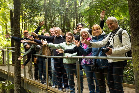 All Inclusive Blue Mountains Small-Group Day Trip From Sydney - Accommodation Rockhampton 5