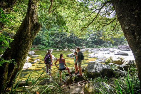 Private Daintree Mossman Gorge Exclusive Nature And Wildlife Focus - Accommodation Rockhampton 5