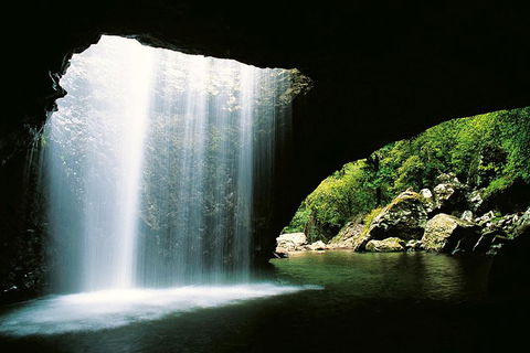 Natural Bridge & Springbrook Waterfalls Tour - Accommodation Rockhampton 0