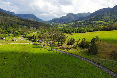 Natural Bridge & Springbrook Waterfalls Tour - Accommodation Rockhampton 2