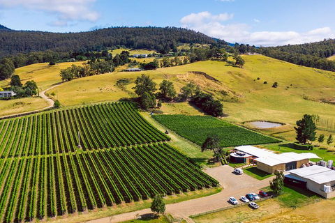 Tasmanian Wine Tour - Accommodation Rockhampton 4