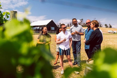 Tasmanian Wine Tour - Accommodation Rockhampton 5