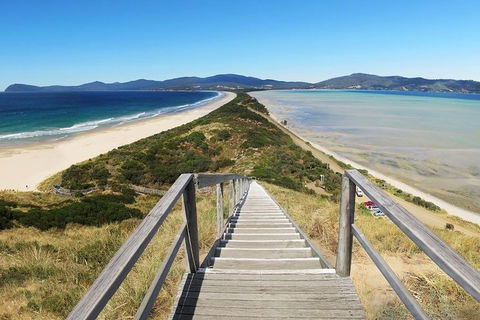 Bruny Island Private Charter Service - Accommodation Rockhampton 4
